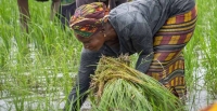 Financement du d�veloppement en Afrique : les angles morts qui menacent tout l'�difice