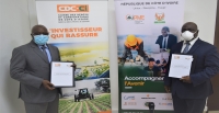 sujet de dissertation l'agriculture en cote d'ivoire