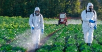 Pesticides : Un nouveau signal dalarme pour la biodiversit