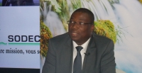 sujet de dissertation l'agriculture en cote d'ivoire