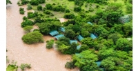 Financement climatique : LOCDE et lIEA fixent la barre  300 milliards par an