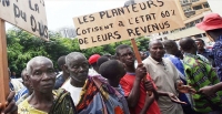 sujet de dissertation l'agriculture en cote d'ivoire